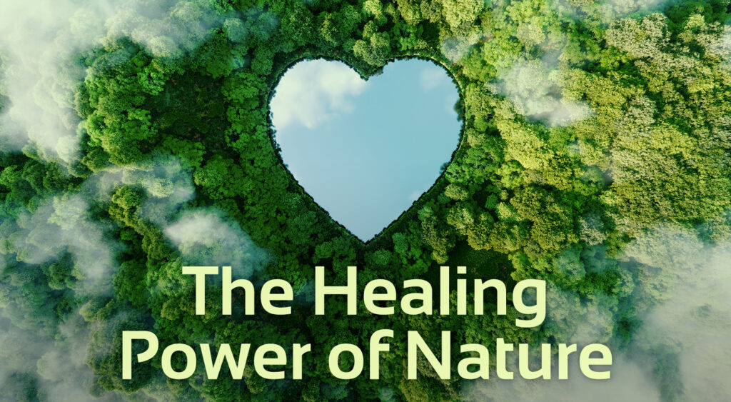 the-healing-power-of-nature-benefits-of-connecting-with-earth