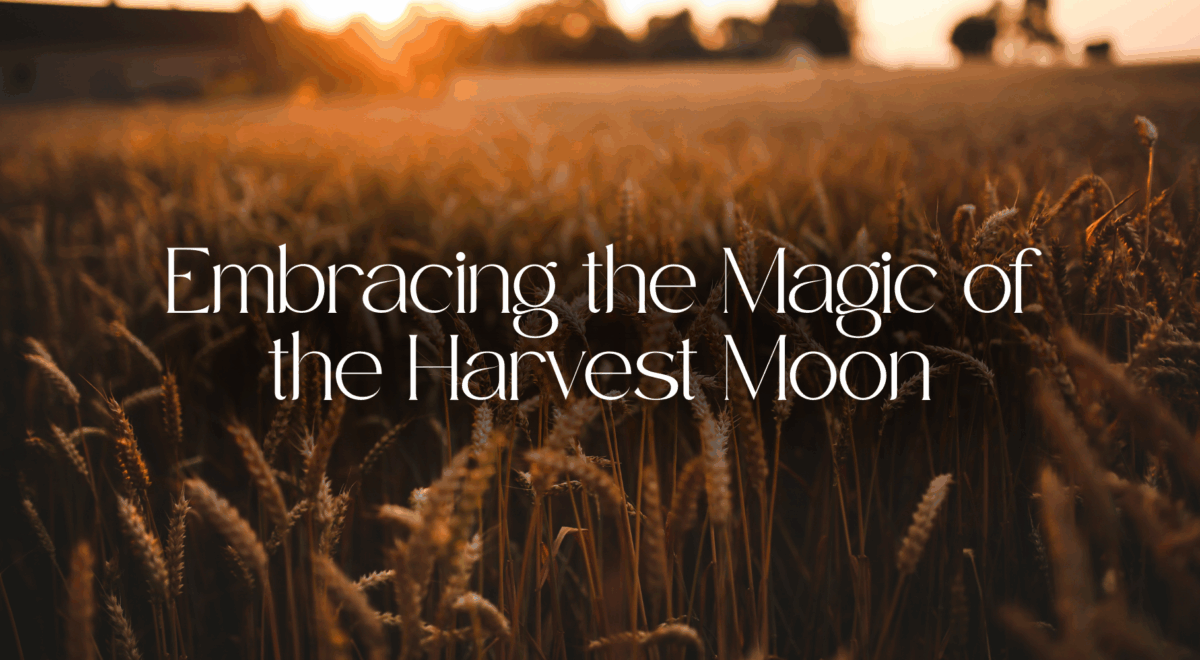 embracing the magic of the harvest moon text with background image of wheat in field