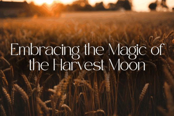 embracing the magic of the harvest moon text with background image of wheat in field