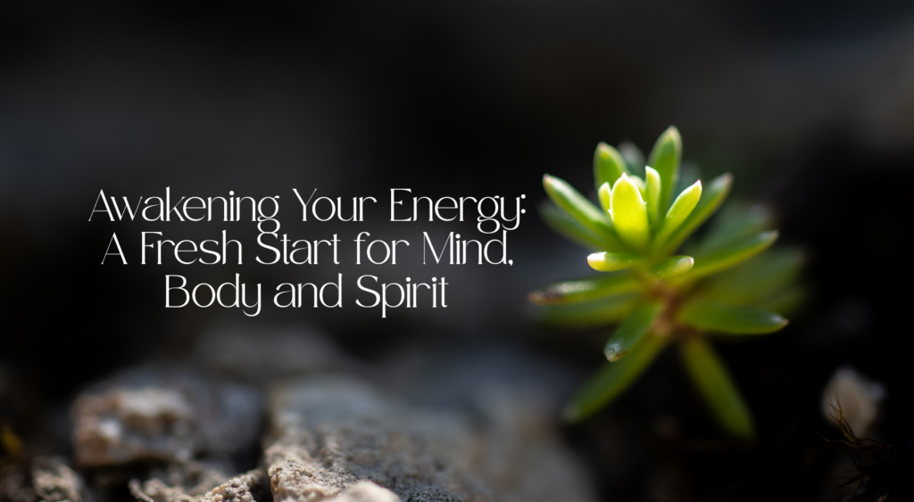 'Awakening Your Energy: A Fresh Start for Mind, Body and Spirit' text with image of plant growing through rocks