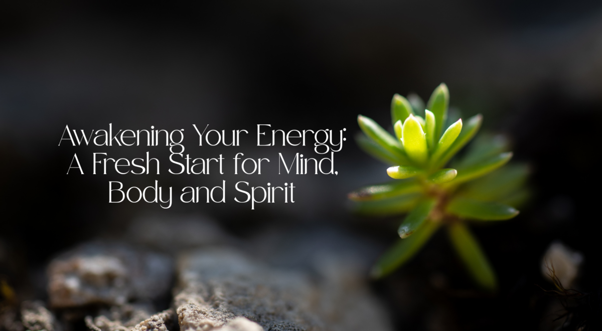 'Awakening Your Energy: A Fresh Start for Mind, Body and Spirit' text with image of plant growing through rocks